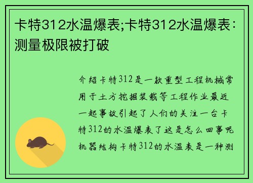 卡特312水温爆表;卡特312水温爆表：测量极限被打破